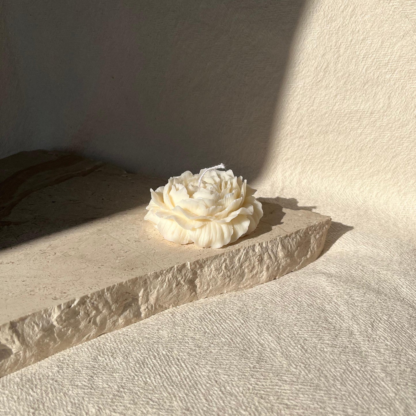 CAMELIA PICCOLA