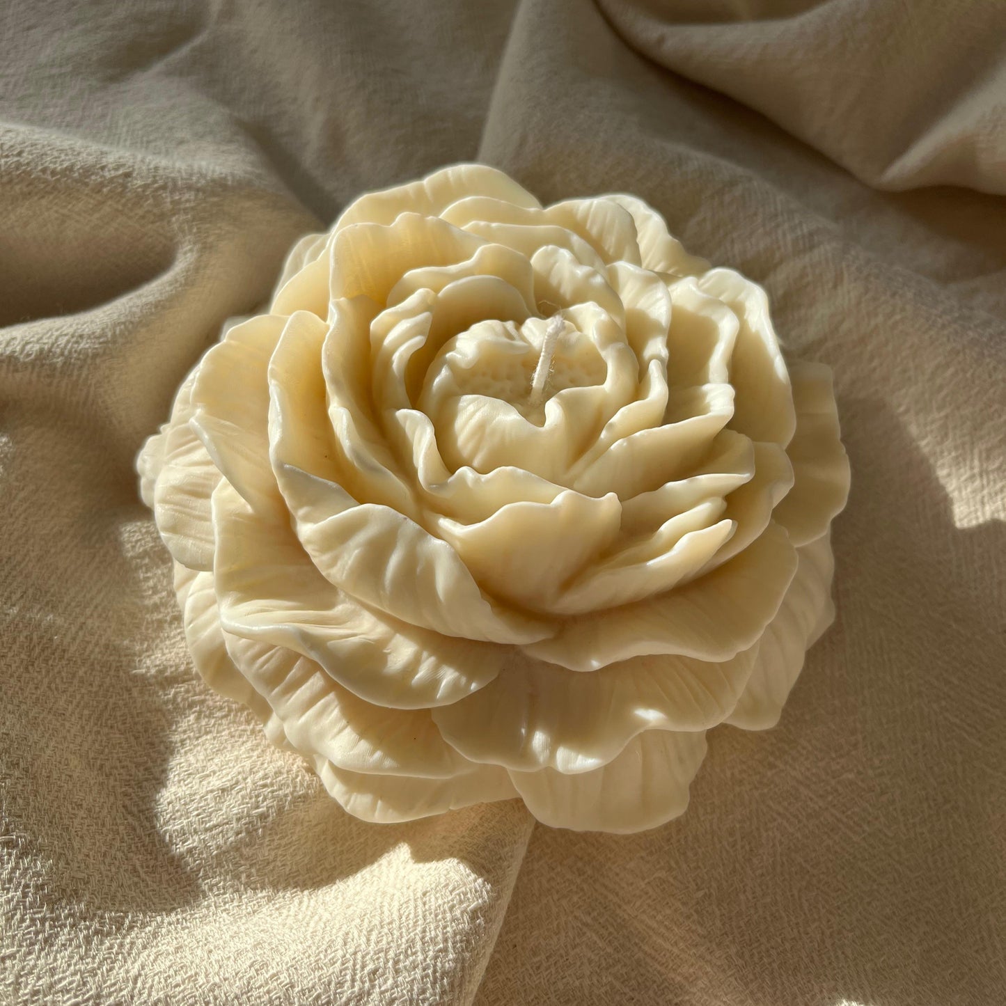 CAMELIA GRANDE